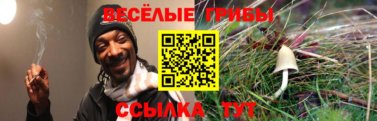 Псилоцибиновые грибы мухоморы  купить закладку  Горно-Алтайск  Вход с VPN 